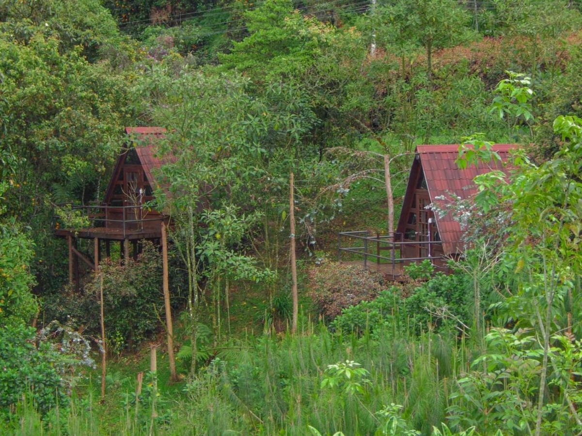 En Santa Elena En Medio Del Bosque