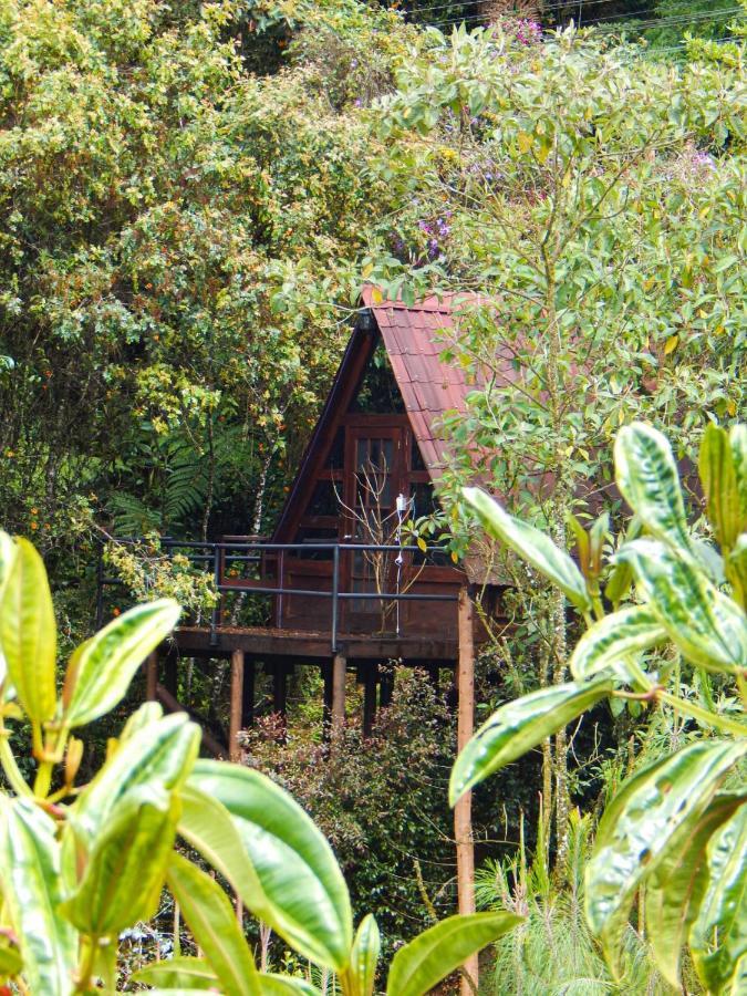 Сasa de vacaciones En Santa Elena En Medio Del Bosque