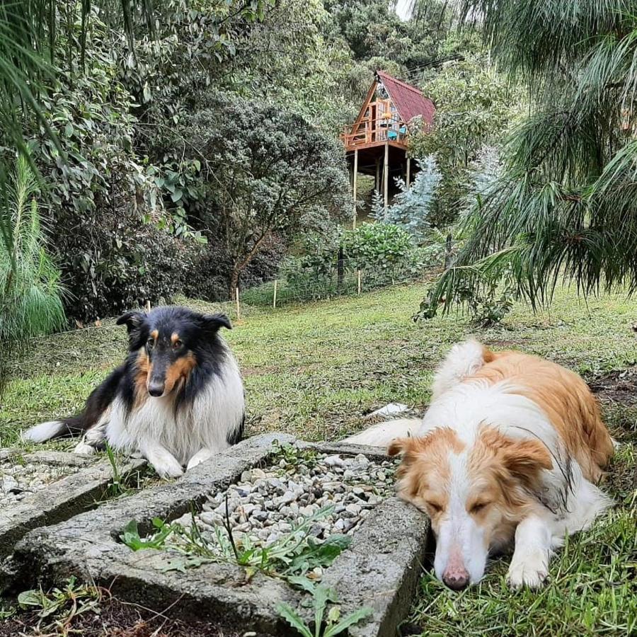 En Santa Elena En Medio Del Bosque Сasa de vacaciones