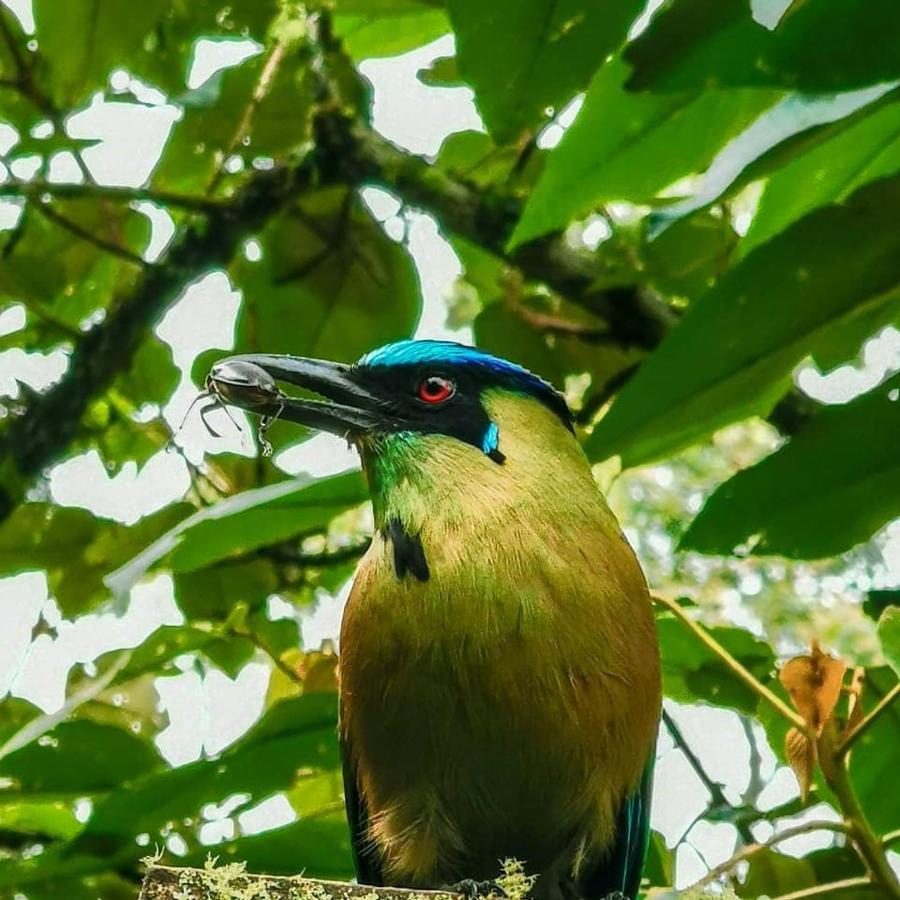 Сasa de vacaciones En Santa Elena En Medio Del Bosque